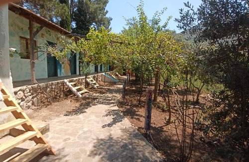 Olympos House | Amon Ra Pansiyon