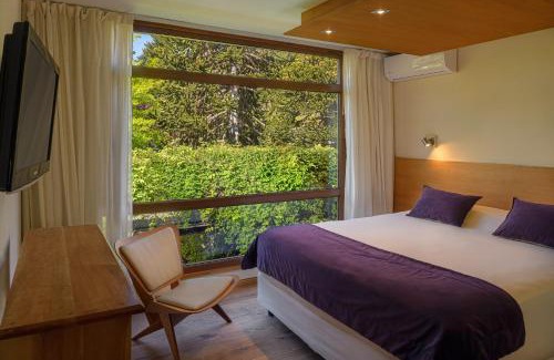 Lanin National Park Hotel | Amonite Apart & Spa
