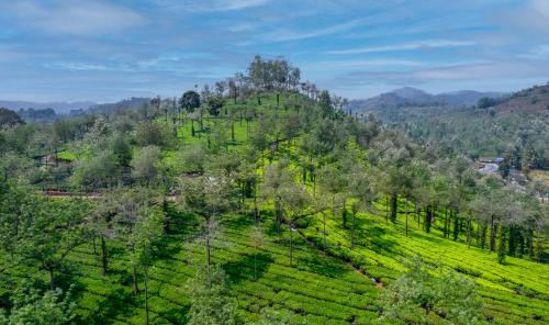 Pirmed Resort | Amritara Shalimar Spice Garden Resort & Spa