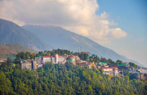 Dharamshala Resort | Amritara Surya - A Luxury Spa Retreat