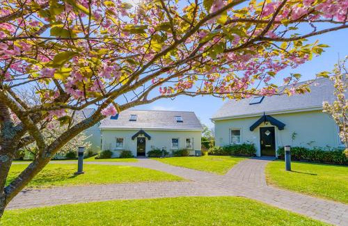 Dingle Bed & Breakfast | An Capall Dubh B&B Dingle