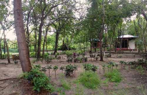 Neil Island Resort | An Eco Resort