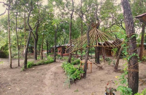Neil Island Resort | An Eco Resort