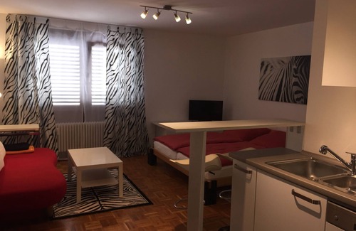 Am Pragfriedhof Apartment | An elegant studio in the heart of Stuttgart