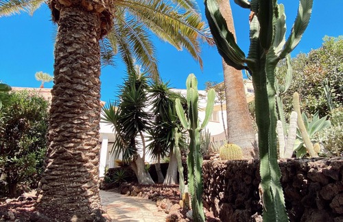 Chayofa House | An idyllic oasis in South Tenerife between mountains & sea views