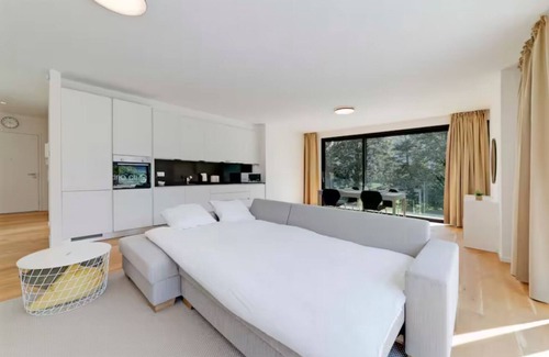 Claro Apartment | An oasis of peace in nature (PPegasus 11 Residenza Ticino)