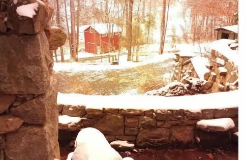 Barnardsville Apartment | An Understory Sanctuary