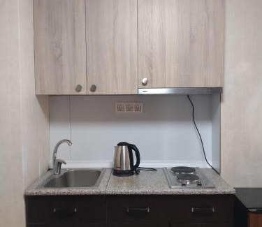 Bakuriani Apartment | Ana Apartment at Orbi