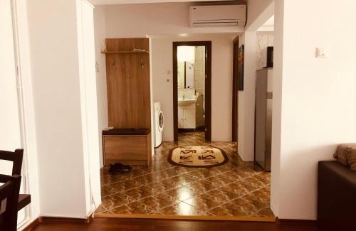 Ramnicu Valcea Apartment | Ana-Maria Home
