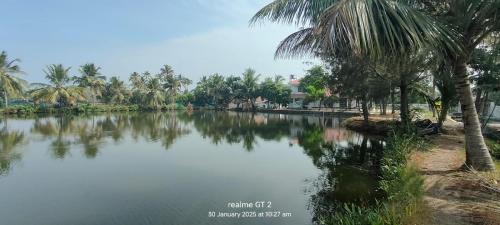 Cherthala Bed & Breakfast | Anaara Escapes