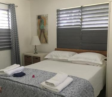 Runaway Bay Apartment | Ancella's Garden Apartment-Beach-5min Drive, 1 hr Montego Bay, 25 mins Ocho Rios, Continental Breakfast