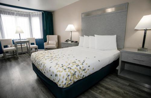 Bertsch-Oceanview Hotel | Anchor Beach Inn