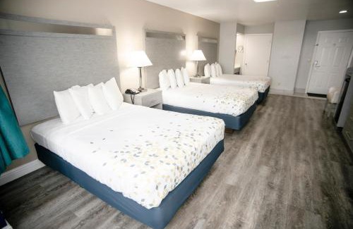 Bertsch-Oceanview Hotel | Anchor Beach Inn
