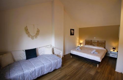 Gaillac House | - Ancien Chai 6 pers - Vignobles - Nature - Piscine - Les hauts de la Rameyo -
