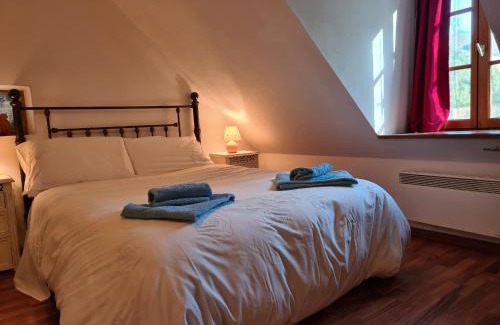 Prissac House | Ancien moulin avec piscine, terrasse, jardin privatif et petite île - près des étangs de la Brenne - FR-1-591-159
