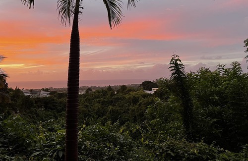 The Rock House | Ancient Grove 5 bedroom Luxury villa, Infinity pool, Ocean Views, Lush Gardens