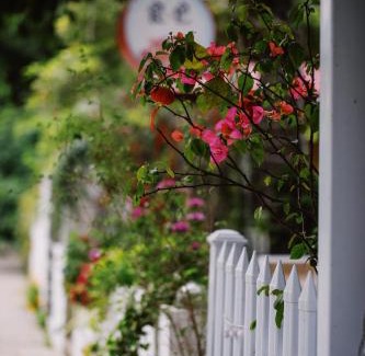 Wuyishan House | Ancient Street No.5 Youth Chic Hotel