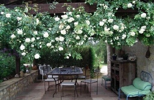 Cestayrols Cottage | and between ALBI CORDES property with private pool