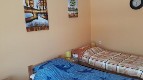 Vojvodina Apartment | Andi Apartman