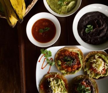 Puerto Viejo de Sarapiqui Bed & Breakfast | Andrea Cristina