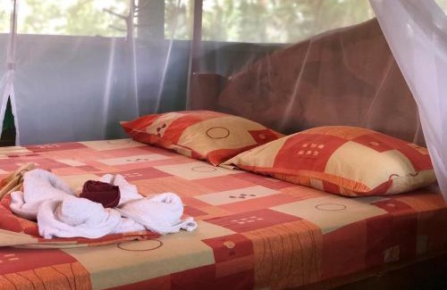 Puerto Viejo de Sarapiqui Bed & Breakfast | Andrea Cristina