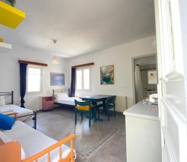 Andros Town Apartment | Andros Vineyard house with sea view
