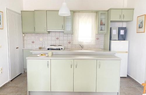 Andros Town Apartment | Andros Vineyard house with sea view