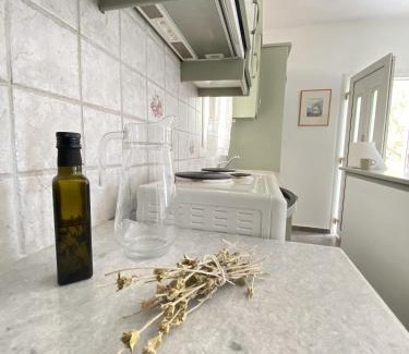 Andros Town Apartment | Andros Vineyard house with sea view