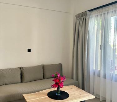 Chalikounas Apartment | Anemmos Halikounas Beach