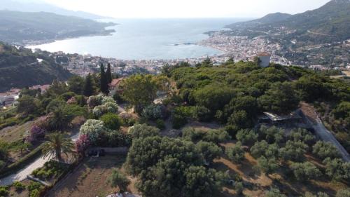 Samos Apartment | Anemomilos
