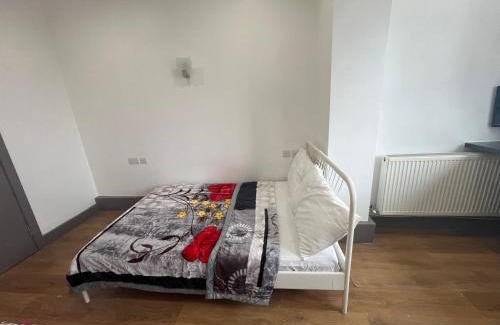 Anerley Apartment | Anerly Road