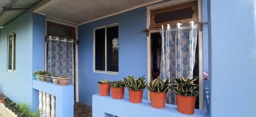 Turuk House | Angel Homestay