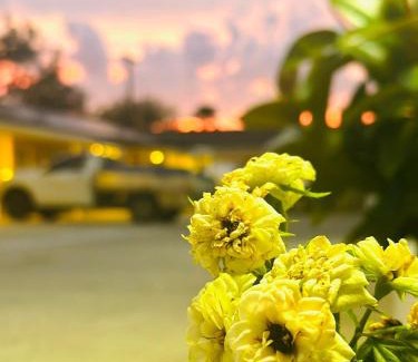 Moree Hotel | Angel's Rest Motel