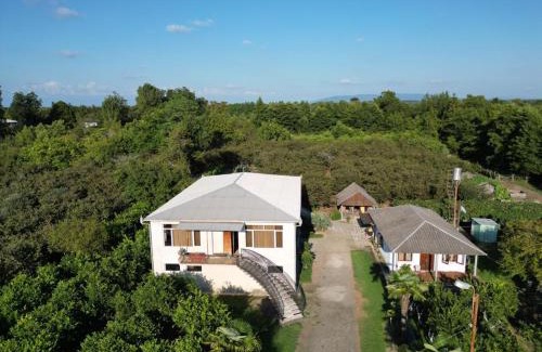 Anaklia House | Ani's Green House