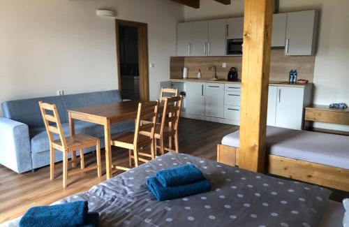 Dolni Benesov Apartment | ANICO apartmány