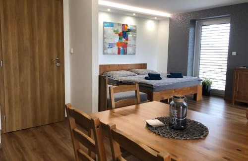 Dolni Benesov Apartment | ANICO apartmány