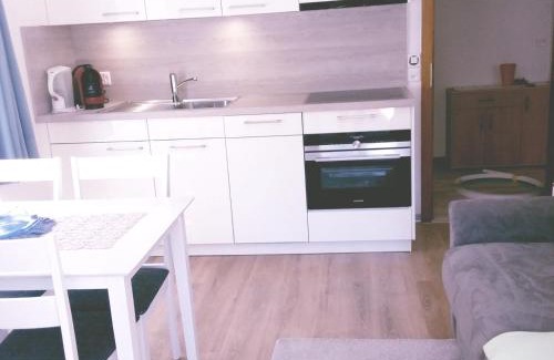 Saas Almagell Apartment | Anis