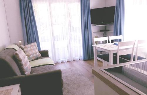Saas Almagell Apartment | Anis