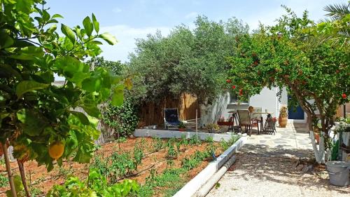 Anissaras House | Anissa Tiny Garden Loft
