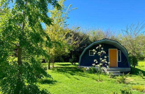 Nancagua Bed & Breakfast | Anita y Tomás - Bed and Breakfast