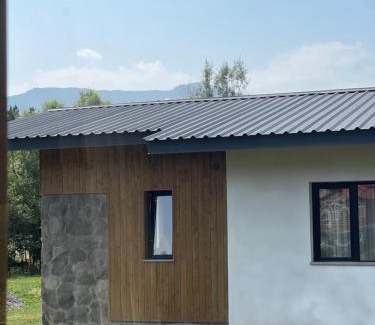 Bakuriani Apartment | Ankanakeba