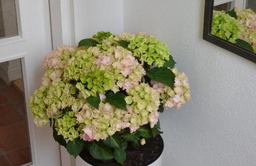 Ostliche Altstadt Apartment | Ankerplatz Rostock