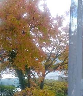 Bad Bergzabern Apartment | Ankommen und Wohlfühlen