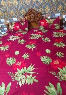 Puri House | Annapurna guest house,puri