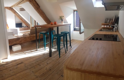 Annecy Old Town Apartment | Annecy, loft attic, old town, 3mns from the lake, balcony