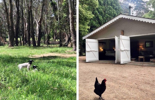 Fitzroy Falls House | Annies Barn, Fitzroy Falls
