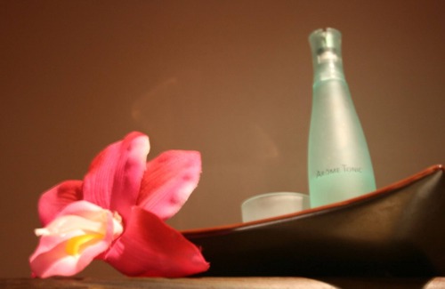 La Riviere-Saint-Sauveur Hotel | Antares & Spa Honfleur