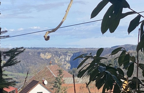 Chaux-Champagny Apartment | ANTHOCYANS