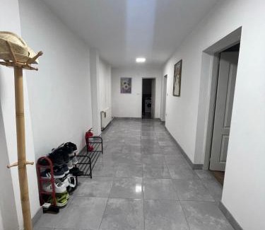 Pozarevac Apartment | Antic Apartment