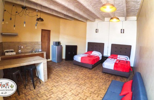 Zona Centro Apartment | Antigua Casa Bram / Apartamento Garambullo